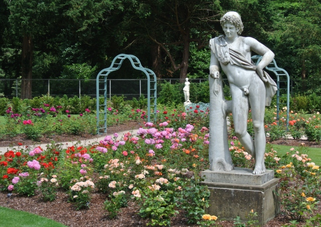 A resting Satyr leans on a stump amidst the 9,000 blooms in the restored Rose Garden at Cliveden